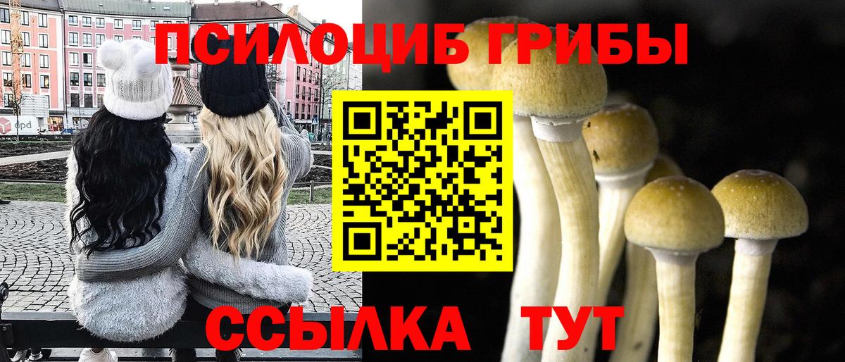 Псилоцибиновые грибы GOLDEN TEACHER  Вход с VPN  Дальнегорск 